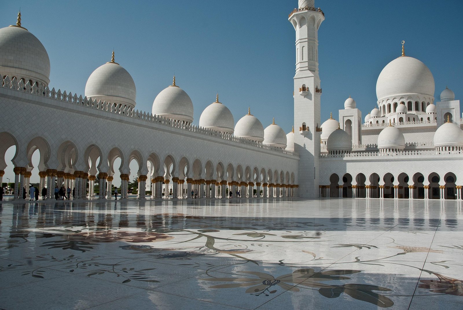 7 Pillars of Islam – Roots & Branches in Shia Belief