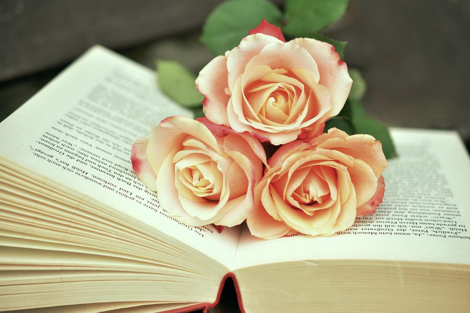 Best Islamic Books on Marriage and Family Life