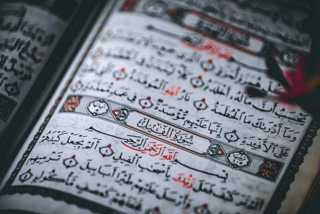 nonn native arabic surah yaseen recitaion