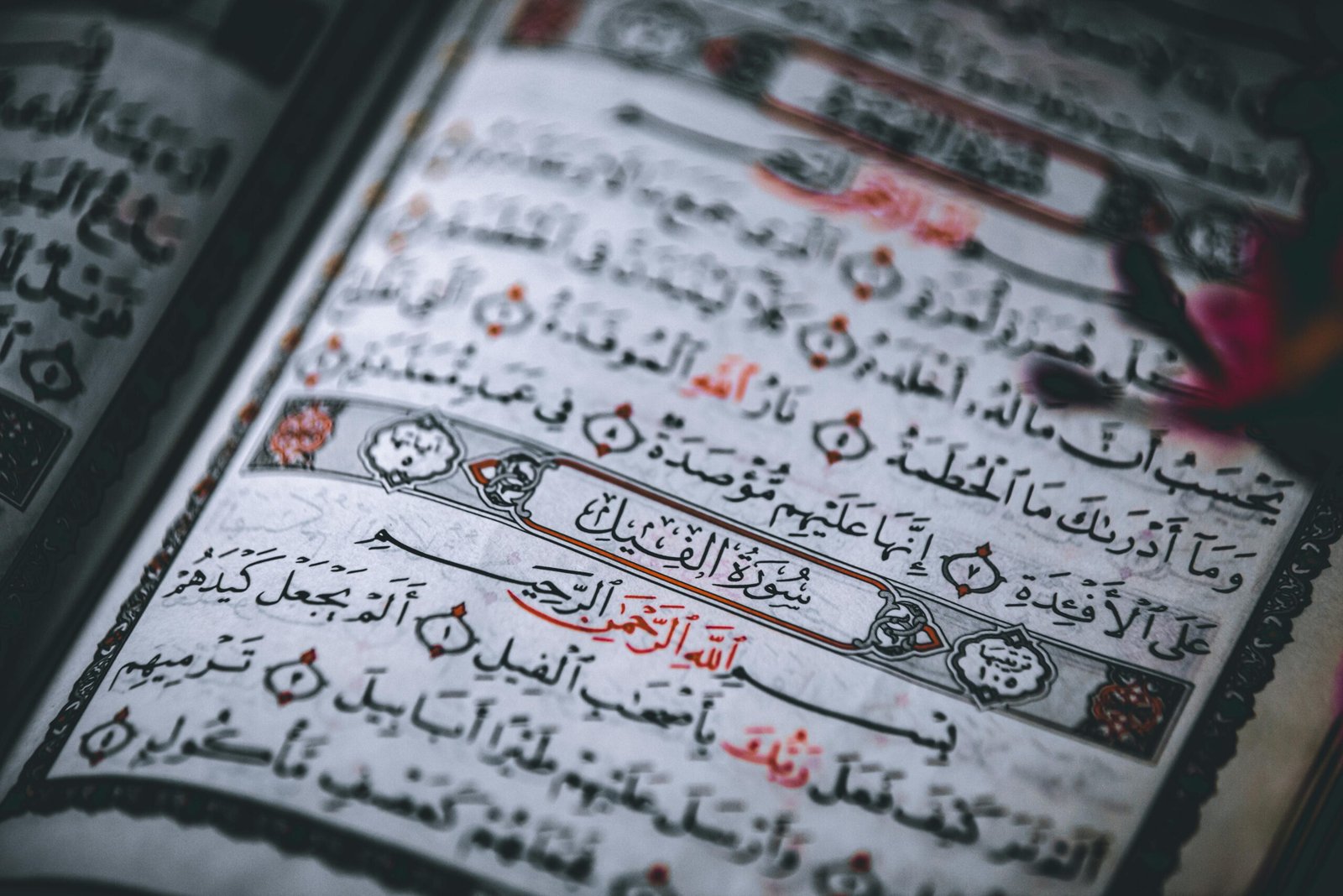 nonn native arabic surah yaseen recitaion
