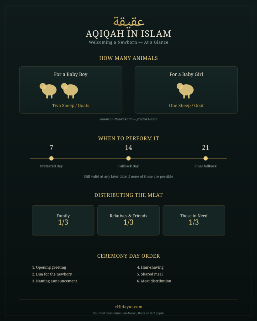 aqiqah-infographic