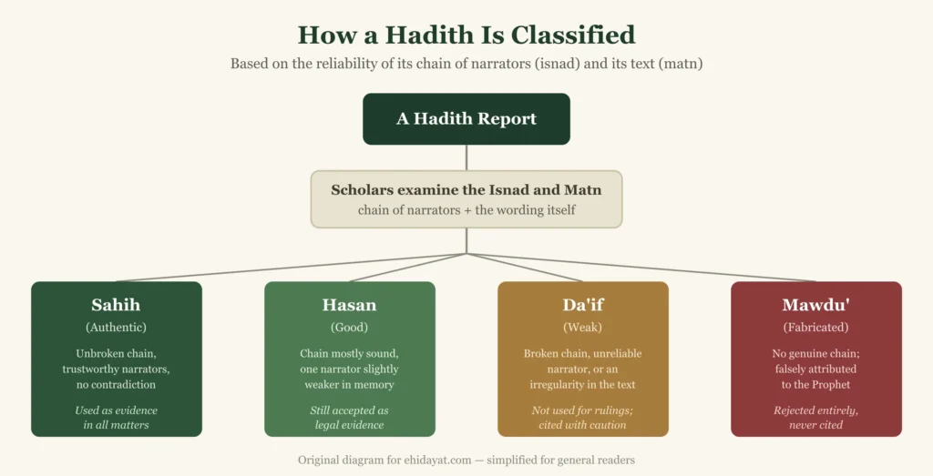 What Does Hadith Mean? Definition, Types & Examples