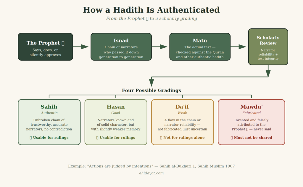 What Is Hadith in Islam? A Clear, Sourced Guide